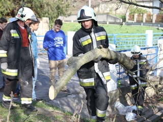 Szemétszedés a Duna-parton - fotó: Sándor Judit