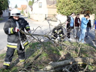 Szemétszedés a Duna-parton - fotó: Sándor Judit