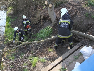 Szemétszedés a Duna-parton - fotó: Sándor Judit