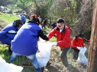Szemétszedés a Duna-parton - fotó: Sándor Judit