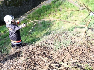 Szemétszedés a Duna-parton - fotó: Sándor Judit