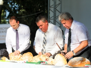 Augusztális 2019 - fotó: Ónodi Zoltán