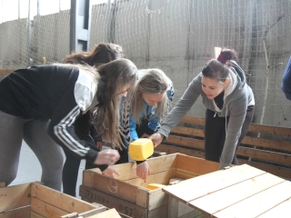 Katasztrófavédelmi verseny - fotó: Ónodi Zoltán