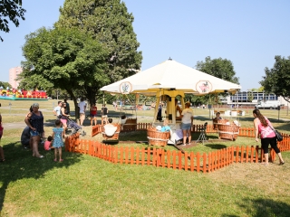 Városrészi Nap 2019 - fotó: Ónodi Zoltán