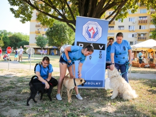 Városrészi Nap 2019 - fotó: Ónodi Zoltán