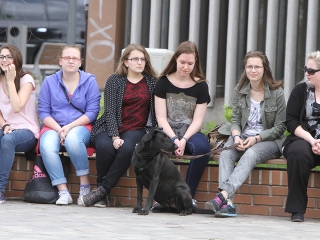 Háromszáz tehetség - fotó: Sándor Judit