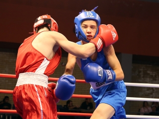 IV. Dunai Ökölvívó Kupa - fotó: Sándor Judit