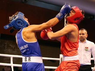 IV. Dunai Ökölvívó Kupa - fotó: Sándor Judit