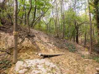 Kalandpark bejárás - fotó: Ónodi Zoltán