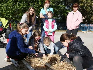 Családi nap a Petőfi iskolában (2019) - fotó: Sándor Judit