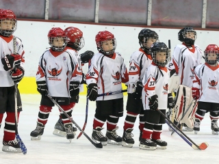 Nyílt nap az Acélbikáknál - fotó: Sándor Judit