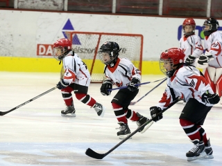 Nyílt nap az Acélbikáknál - fotó: Sándor Judit