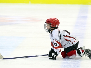Nyílt nap az Acélbikáknál - fotó: Sándor Judit