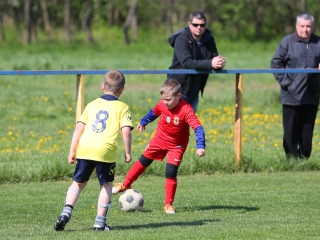 Bozsik program Pálhalmán - fotó: Ónodi Zoltán