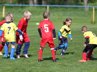 Bozsik program Pálhalmán - fotó: Ónodi Zoltán