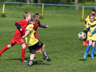 Bozsik program Pálhalmán - fotó: Ónodi Zoltán