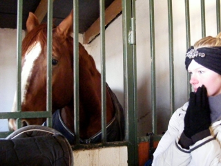 Nyitott karácsonyi lovasnap - fotó: 