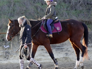 Nyitott karácsonyi lovasnap - fotó: 