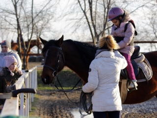 Nyitott karácsonyi lovasnap - fotó: 