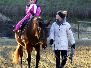 Nyitott karácsonyi lovasnap - fotó: 