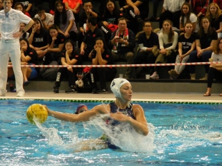 Nemzetközi válogatott vízilabda torna   - fotó: 