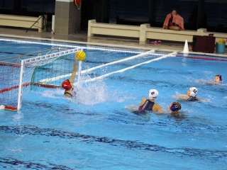 Nemzetközi válogatott vízilabda torna   - fotó: 