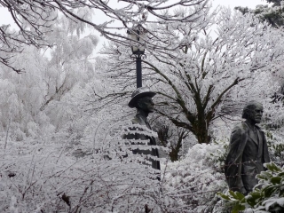 Könnyű séta a hófehérbe öltözött városban - fotó: 