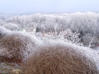 Könnyű séta a hófehérbe öltözött városban - fotó: 