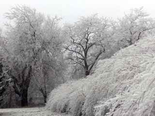 Könnyű séta a hófehérbe öltözött városban - fotó: 