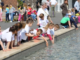 Föld napja a Városháza téren - fotó: Ónodi Zoltán