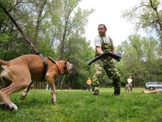 Duna Dog Center kutyiskola születésnapja - fotó: Ónodi Zoltán