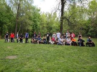 Duna Dog Center kutyiskola születésnapja - fotó: Ónodi Zoltán