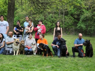 Duna Dog Center kutyiskola születésnapja - fotó: Ónodi Zoltán