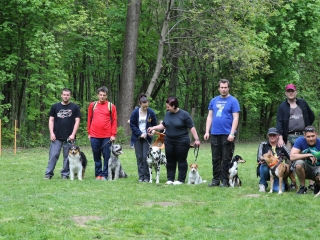 Duna Dog Center kutyiskola születésnapja - fotó: Ónodi Zoltán