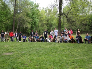 Duna Dog Center kutyiskola születésnapja - fotó: Ónodi Zoltán