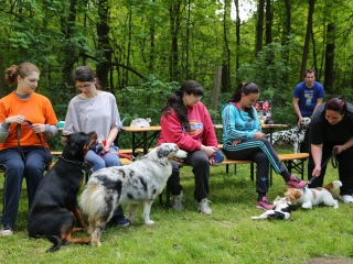 Duna Dog Center kutyiskola születésnapja - fotó: Ónodi Zoltán