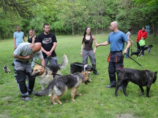 Duna Dog Center kutyiskola születésnapja - fotó: Ónodi Zoltán