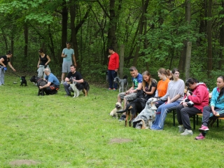Duna Dog Center kutyiskola születésnapja - fotó: Ónodi Zoltán