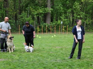 Duna Dog Center kutyiskola születésnapja - fotó: Ónodi Zoltán