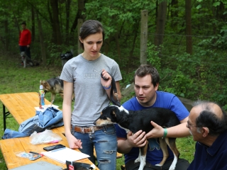 Duna Dog Center kutyiskola születésnapja - fotó: Ónodi Zoltán