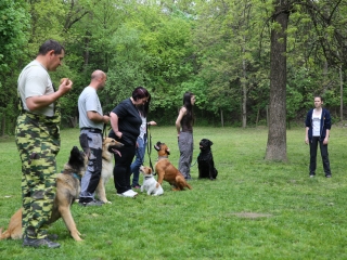 Duna Dog Center kutyiskola születésnapja - fotó: Ónodi Zoltán