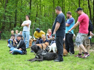 Duna Dog Center kutyiskola születésnapja - fotó: Ónodi Zoltán