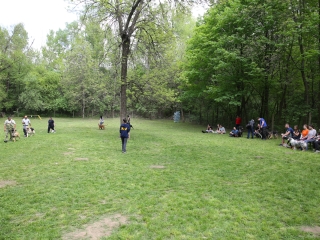 Duna Dog Center kutyiskola születésnapja - fotó: Ónodi Zoltán