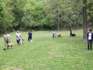 Duna Dog Center kutyiskola születésnapja - fotó: Ónodi Zoltán