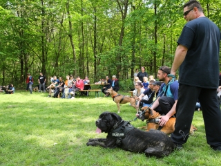 Duna Dog Center kutyiskola születésnapja - fotó: Ónodi Zoltán