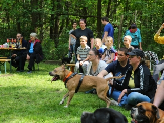Duna Dog Center kutyiskola születésnapja - fotó: Ónodi Zoltán