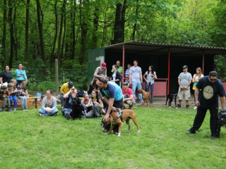 Duna Dog Center kutyiskola születésnapja - fotó: Ónodi Zoltán
