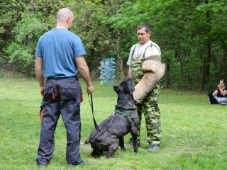 Duna Dog Center kutyiskola születésnapja - fotó: Ónodi Zoltán