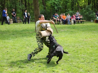Duna Dog Center kutyiskola születésnapja - fotó: Ónodi Zoltán