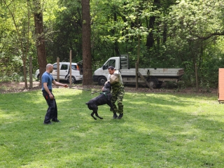 Duna Dog Center kutyiskola születésnapja - fotó: Ónodi Zoltán